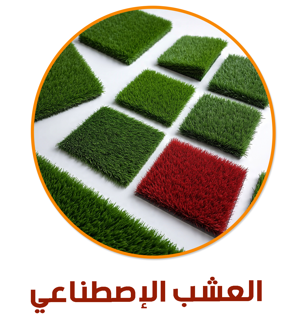 العشبي